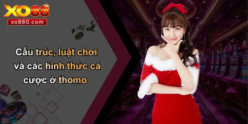 Cấu trúc, luật chơi và các hình thức cá cược ở thomo