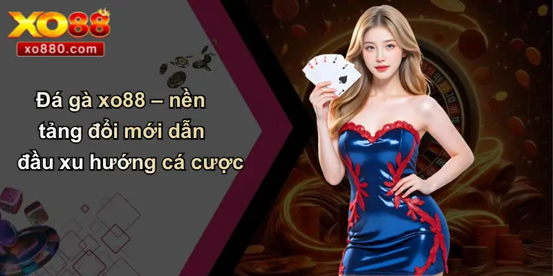 Đá gà xo88 – nền tảng đổi mới dẫn đầu xu hướng cá cược