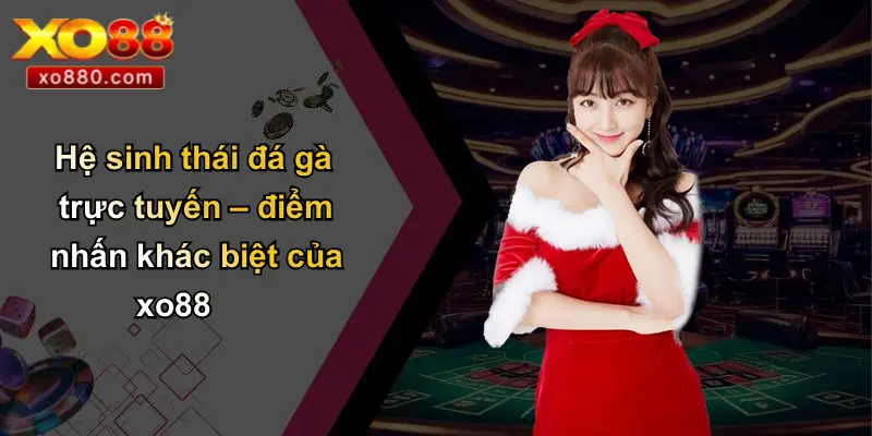 Hệ sinh thái đá gà trực tuyến – điểm nhấn khác biệt của xo88