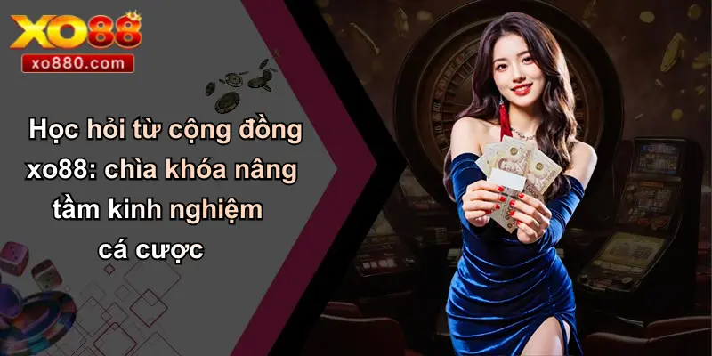 Học hỏi từ cộng đồng xo88: chìa khóa nâng tầm kinh nghiệm cá cược