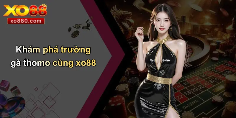 Khám phá trường gà thomo cùng xo88