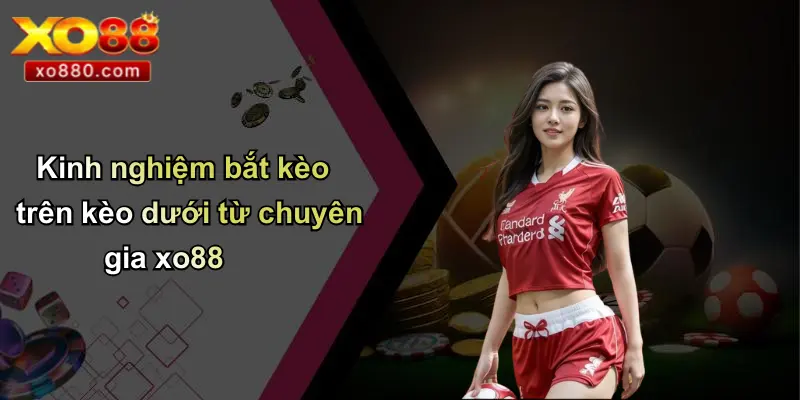 Kinh nghiệm bắt kèo trên kèo dưới từ chuyên gia xo88