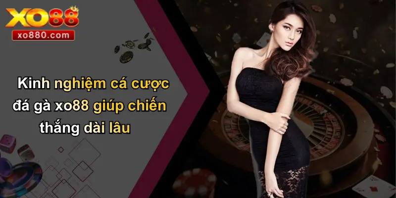 Kinh nghiệm cá cược đá gà xo88 giúp chiến thắng dài lâu