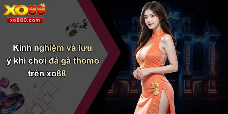 Kinh nghiệm và lưu ý khi chơi đá gà thomo trên xo88