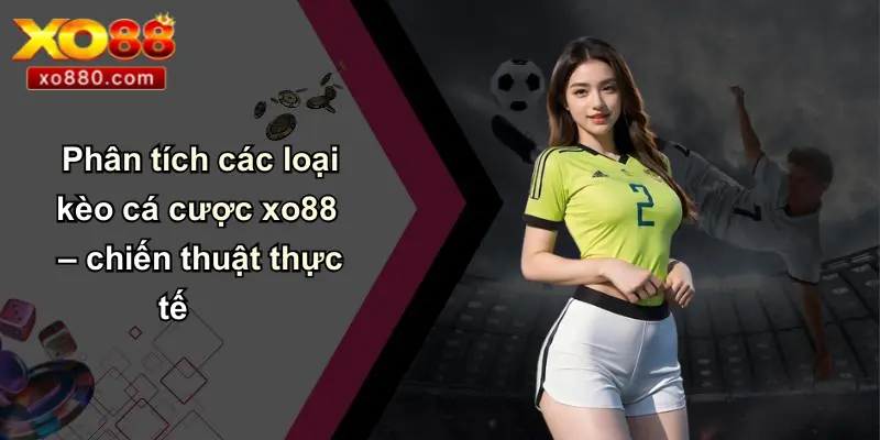 Phân tích các loại kèo cá cược xo88 – chiến thuật thực tế