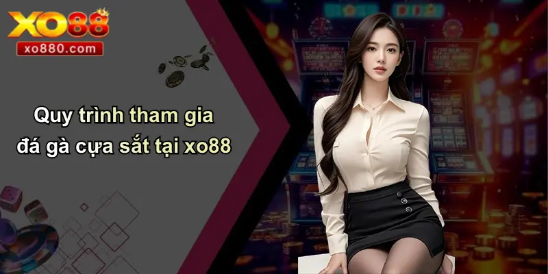 Quy trình tham gia đá gà cựa sắt tại xo88
