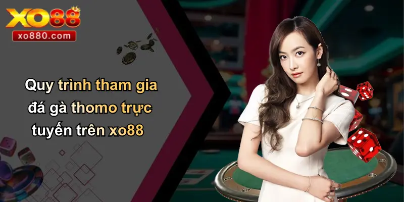 Quy trình tham gia đá gà thomo trực tuyến trên xo88
