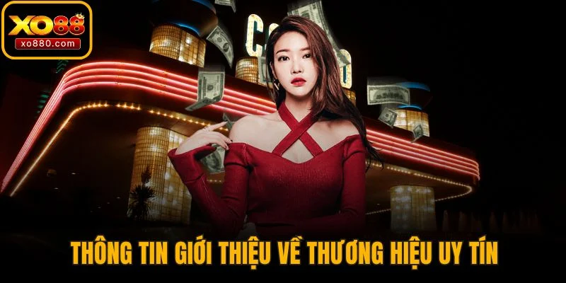 Thông tin giới thiệu về thương hiệu uy tín
