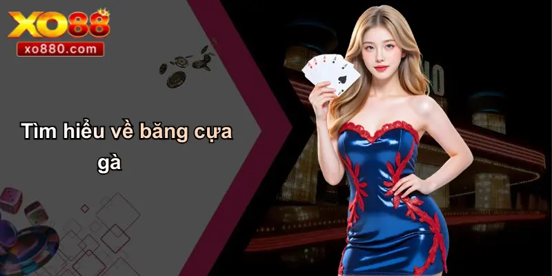 Tìm hiểu về băng cựa gà