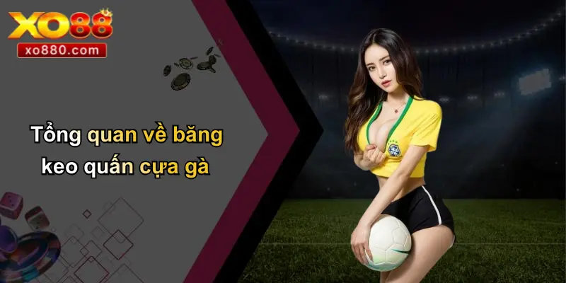 Tổng quan về băng keo quấn cựa gà