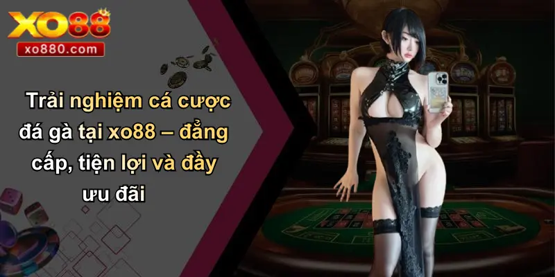 Trải nghiệm cá cược đá gà tại xo88 – đẳng cấp, tiện lợi và đầy ưu đãi