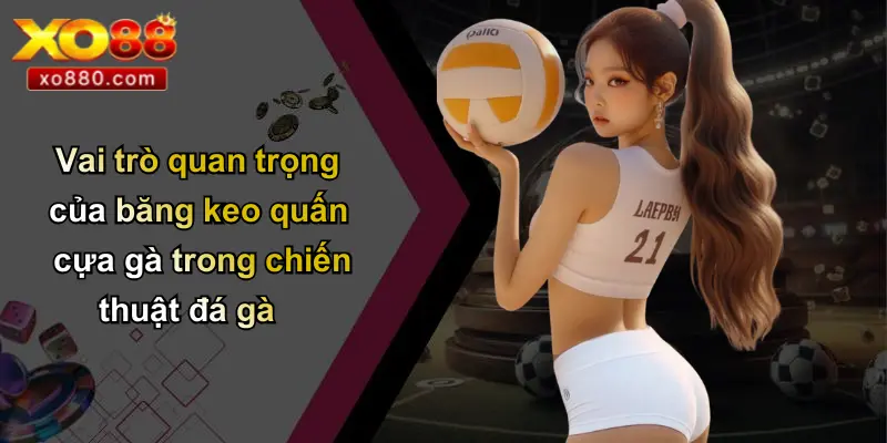 Vai trò quan trọng của băng keo quấn cựa gà trong chiến thuật đá gà